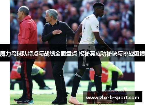 魔力鸟球队特点与战绩全面盘点 揭秘其成功秘诀与挑战困境
