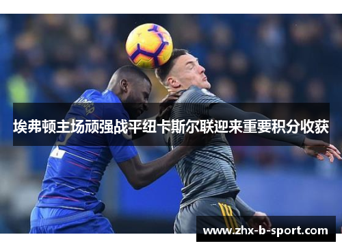 埃弗顿主场顽强战平纽卡斯尔联迎来重要积分收获 埃弗顿主场顽强战平纽卡斯尔联迎来重要积分收获